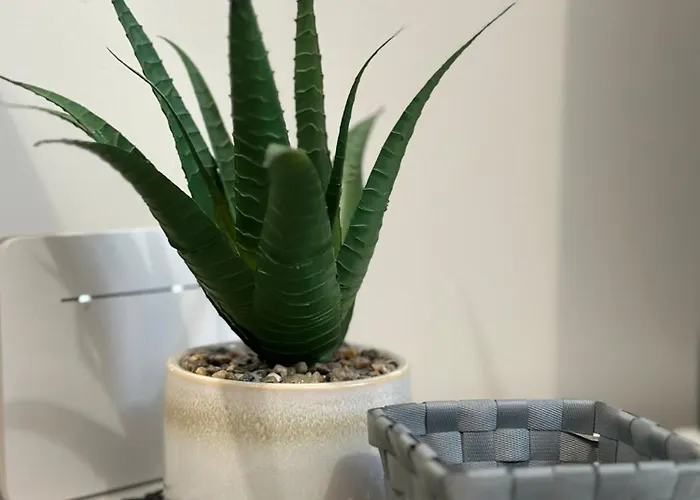 Maria In Centre Dzīvoklis Riga